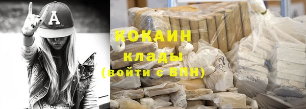 прущие грибы Армянск