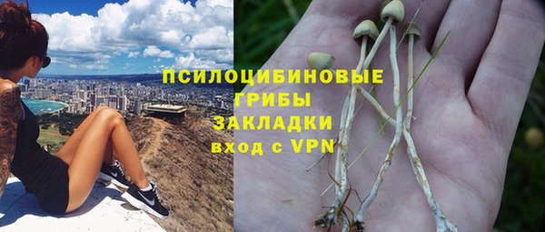 прущие грибы Армянск