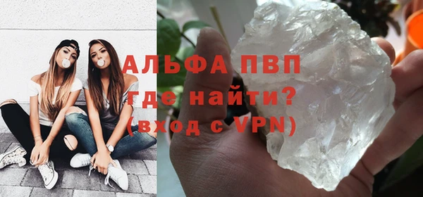 прущие грибы Армянск