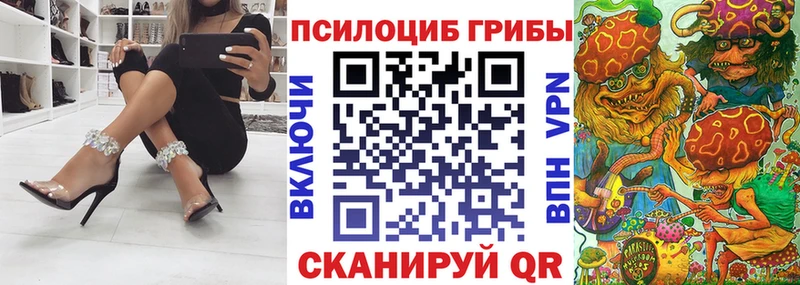 OMG ССЫЛКА  как найти наркотики  Болотное  Псилоцибиновые грибы Psilocybe 